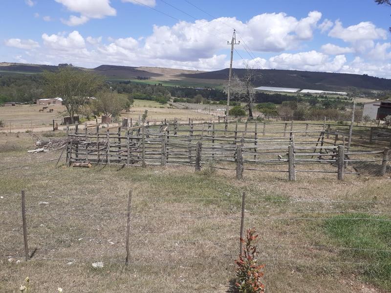 0 Bedroom Property for Sale in Riversdale Western Cape